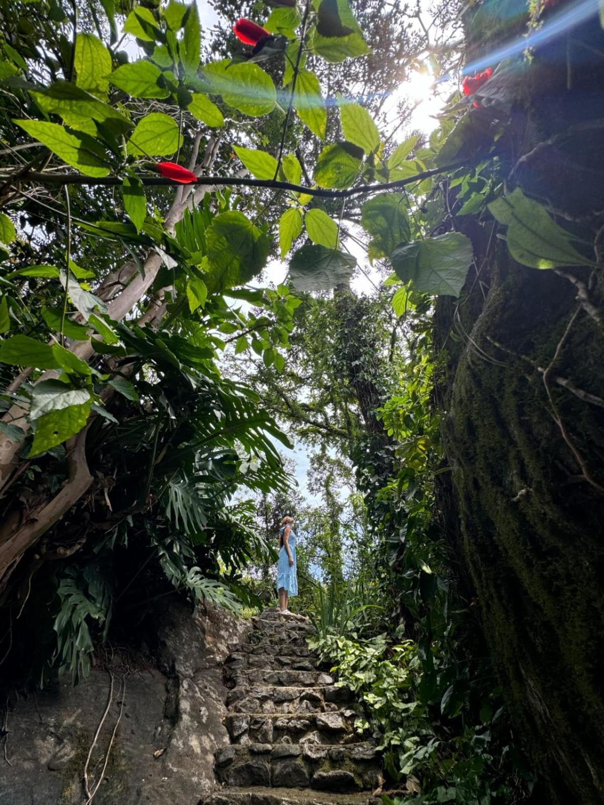 Pousada Olho D'Agua Visconde De Maua Bagian luar foto
